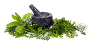 Mortar and Pestle with Fresh Herbs over White